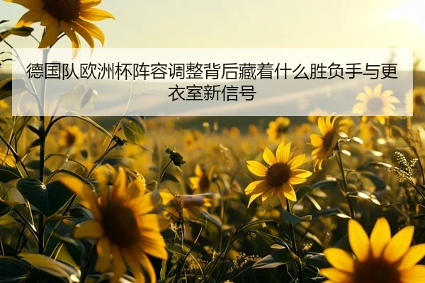 德国队欧洲杯阵容调整背后藏着什么胜负手与更衣室新信号